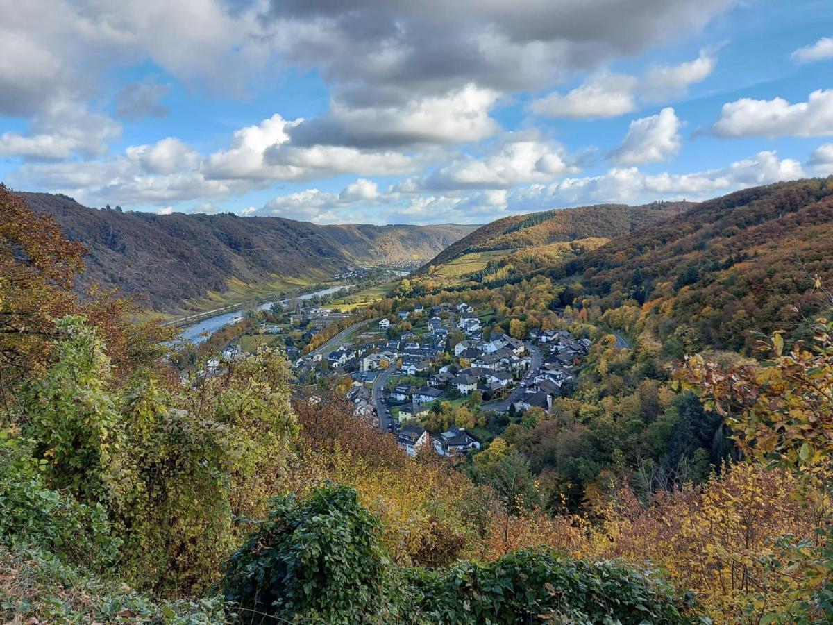 Ferienwohnung Meyver Cochem Dış mekan fotoğraf